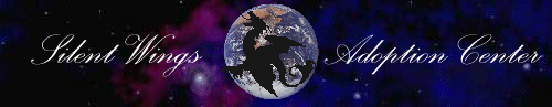 abanner5.gif