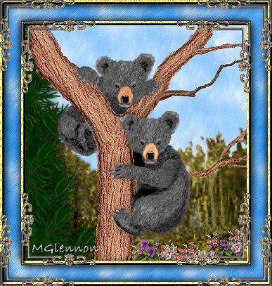 bearcubs.jpg