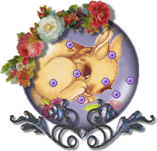 bunnyflwrs.gif