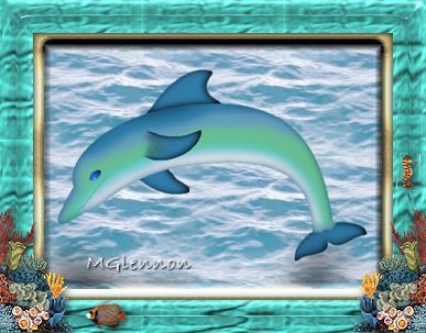 dolphin.jpg